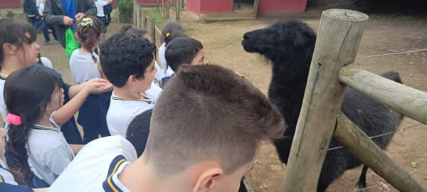 Bicho Mania 2022